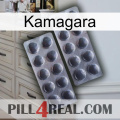 Kamagara 31